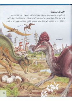 hilokal-notebook-image