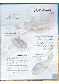 hilokal-notebook-image