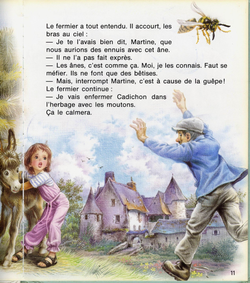 hilokal-notebook-image