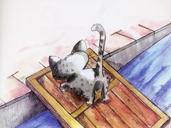 hilokal-notebook-image