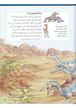 hilokal-notebook-image