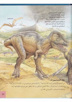 hilokal-notebook-image