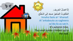 hilokal-notebook-image