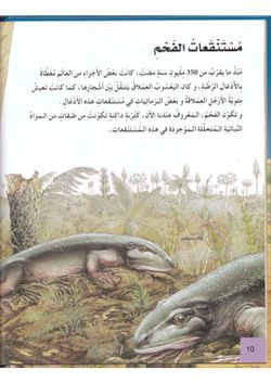 hilokal-notebook-image