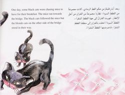 hilokal-notebook-image