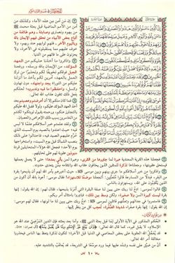 hilokal-notebook-image