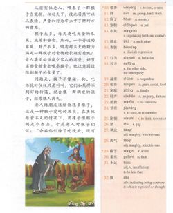 hilokal-notebook-image