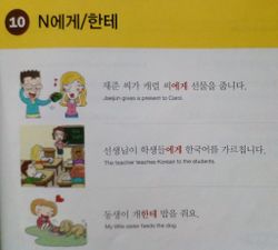 hilokal-notebook-image