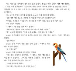 hilokal-notebook-image