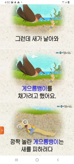 hilokal-notebook-image