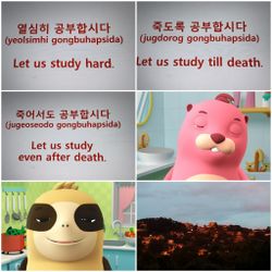 hilokal-notebook-image
