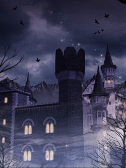 hilokal-notebook-image