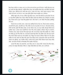 hilokal-notebook-image