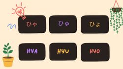 hilokal-notebook-image