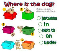 hilokal-notebook-image