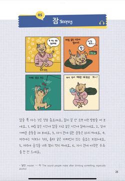 hilokal-notebook-image