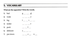 hilokal-notebook-image