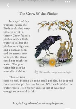 hilokal-notebook-image