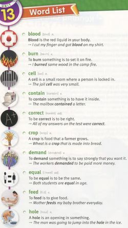 hilokal-notebook-image