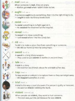 hilokal-notebook-image