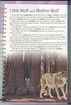 hilokal-notebook-image