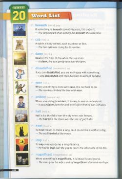 hilokal-notebook-image