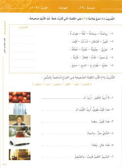 hilokal-notebook-image