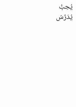 hilokal-notebook-image