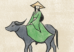 hilokal-notebook-image