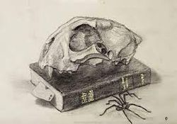 hilokal-notebook-image