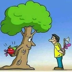 hilokal-notebook-image