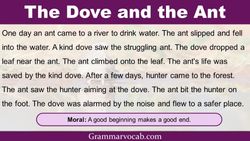 hilokal-notebook-image