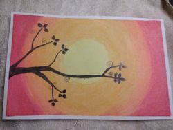hilokal-notebook-image