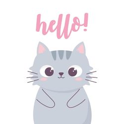 hilokal-notebook-image