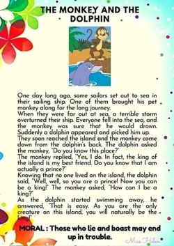 hilokal-notebook-image