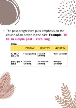 hilokal-notebook-image