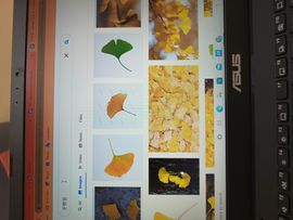 hilokal-notebook-image