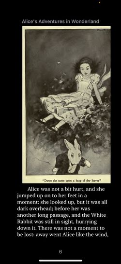 hilokal-notebook-image