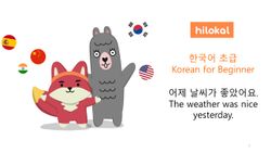hilokal-notebook-image