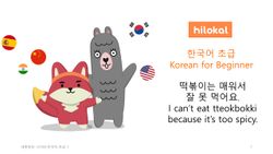 hilokal-notebook-image