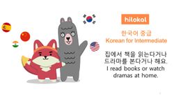 hilokal-notebook-image