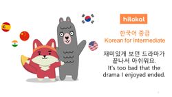 hilokal-notebook-image