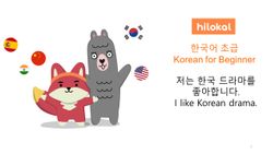 hilokal-notebook-image