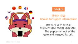 hilokal-notebook-image