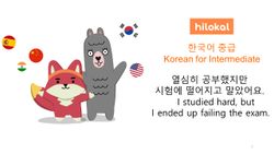 hilokal-notebook-image