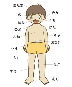 hilokal-notebook-image