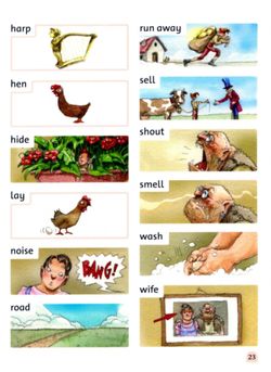hilokal-notebook-image
