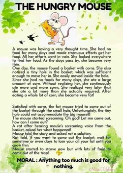 hilokal-notebook-image