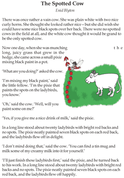 hilokal-notebook-image