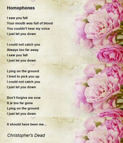 hilokal-notebook-image